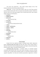 Darbo vietų projektavimas 2 puslapis