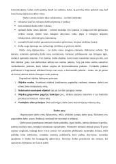 Darbo vietų projektavimas 3 puslapis