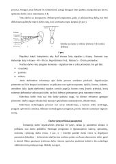 Darbo vietų projektavimas 5 puslapis