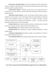 Darbo vietų projektavimas 8 puslapis