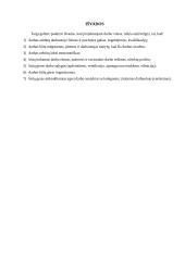 Darbo vietų projektavimas 10 puslapis