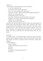 Darbuotojo darbo kontrolė 4 puslapis