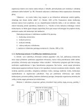 Darbuotojų mokymo ir kvalifikacijos tobulinimo ypatumai 4 puslapis