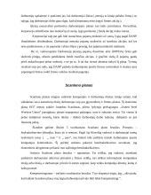 Darbuotojų motyvacija ir skatinimo planai 11 puslapis