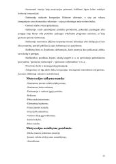 Darbuotojų motyvacijos sistemos tobulinimas "Vokė-III" 15 puslapis