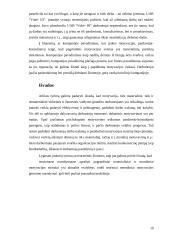 Darbuotojų motyvacijos sistemos tobulinimas "Vokė-III" 19 puslapis