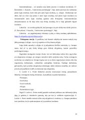 Darbuotojų motyvacijos sistemos tobulinimas "Vokė-III" 10 puslapis