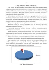 Darbuotojų motyvacijos teorijos ir jų taikymas 13 puslapis
