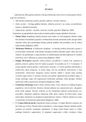 Darbuotojų motyvacijos teorijos ir jų taikymas 20 puslapis