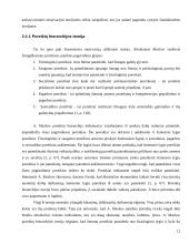 Darbuotojų motyvavimo teorijos 12 puslapis