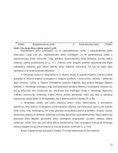 Darbuotojų motyvavimo teorijos 14 puslapis
