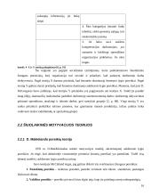 Darbuotojų motyvavimo teorijos 16 puslapis