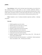 Darbuotojų motyvavimo teorijos 5 puslapis