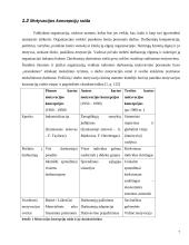 Darbuotojų motyvavimo teorijos 7 puslapis