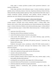 Darbuotojų saugaus ir sveiko darbo organizavimas įmonėje: UAB "Mantinga" 13 puslapis