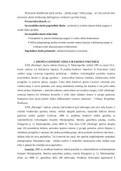 Darbuotojų saugaus ir sveiko darbo organizavimas įmonėje: UAB "Mantinga" 3 puslapis