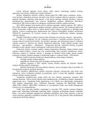 Darbuotojų saugos ir sveikatos valdymas 3 puslapis