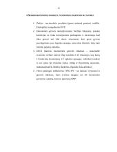 Darnusis vystymasis ir ekonomika 15 puslapis