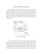 Darnusis vystymasis ir ekonomika 4 puslapis