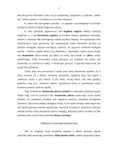 Darnusis vystymasis ir ekonomika 5 puslapis