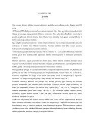 Daugiabučių namų centrinio šildymo sistemos 2 puslapis