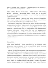 Daugiabučių namų centrinio šildymo sistemos 11 puslapis