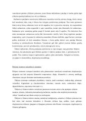 Daugiabučių namų centrinio šildymo sistemos 12 puslapis