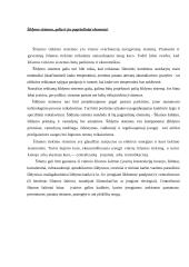 Daugiabučių namų centrinio šildymo sistemos 4 puslapis