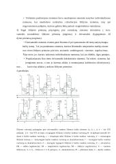 Daugiabučių namų centrinio šildymo sistemos 10 puslapis