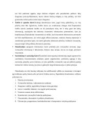 Demokratijos analizė 11 puslapis