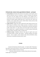 Demokratijos analizė 12 puslapis