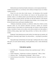 Demokratijos analizė 13 puslapis