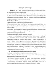 Demokratijos analizė 3 puslapis