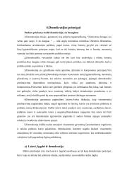 Demokratijos analizė 6 puslapis