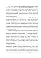 Demokratijos analizė 7 puslapis