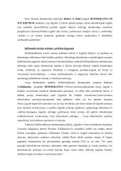 Demokratijos analizė 8 puslapis