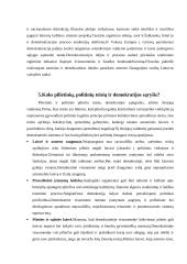 Demokratijos analizė 10 puslapis