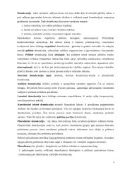 Kas yra toji demokratija? 4 puslapis