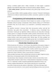 Kas yra toji demokratija? 10 puslapis