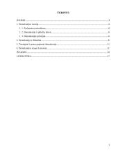 Demokratijos istorija ir tipai 2 puslapis