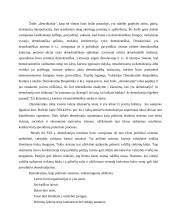 Demokratija mūsų mokykloje 2 puslapis