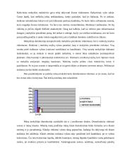 Demokratija mūsų mokykloje 4 puslapis