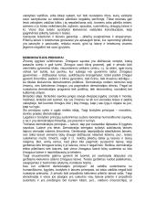 Demokratijos istorija 3 puslapis