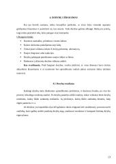 Derybų meno esmė 13 puslapis