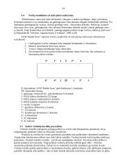 Derybų su "Ikea" koncerno vadybininkais organizavimas ir jų vedimas 14 puslapis