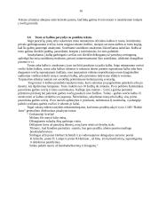 Derybų su "Ikea" koncerno vadybininkais organizavimas ir jų vedimas 16 puslapis