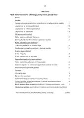 Derybų su "Ikea" koncerno vadybininkais organizavimas ir jų vedimas 20 puslapis