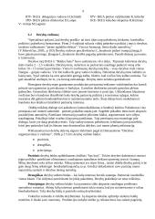 Derybų su "Ikea" koncerno vadybininkais organizavimas ir jų vedimas 9 puslapis