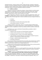 Derybų su "Ikea" koncerno vadybininkais organizavimas ir jų vedimas 10 puslapis