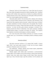 Deviantinis elgesys - prostitucija 3 puslapis